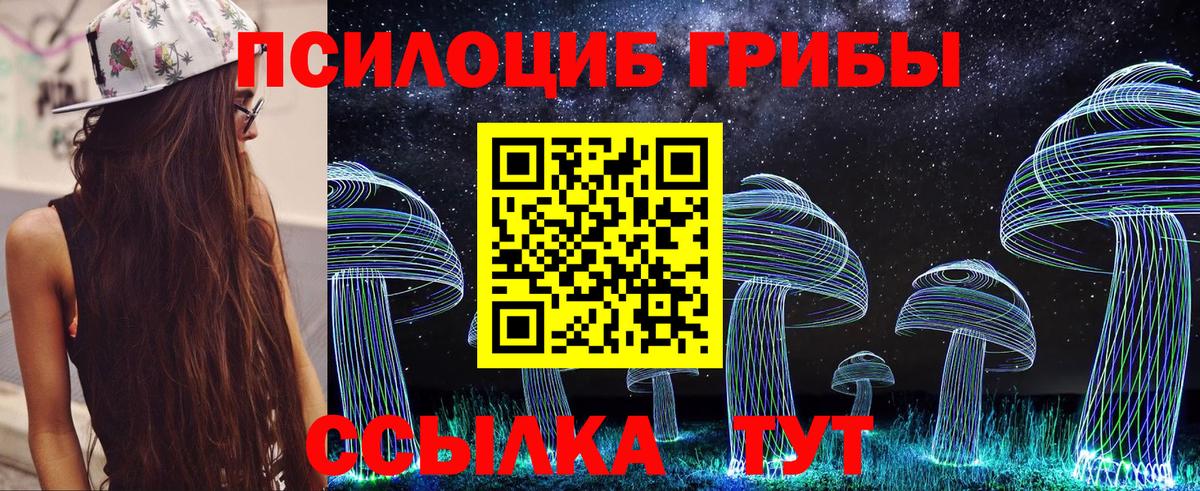 Галлюциногенные грибы прущие грибы  Вход с VPN  Железноводск 